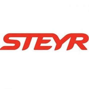 Διαγνωστικό STEYR